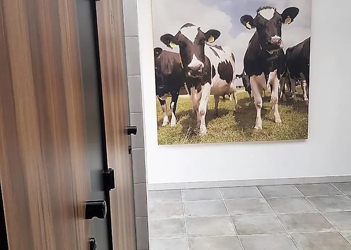 Campsite Op Mini-camping De Peelweide