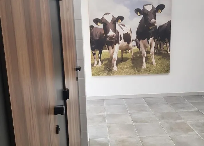 Campsite Op Mini-camping De Peelweide