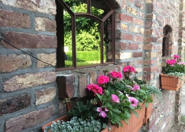 Campsite Op Mini-camping De Peelweide Grashoek