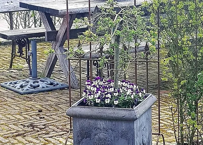 Op Mini-camping De Peelweide * Grashoek