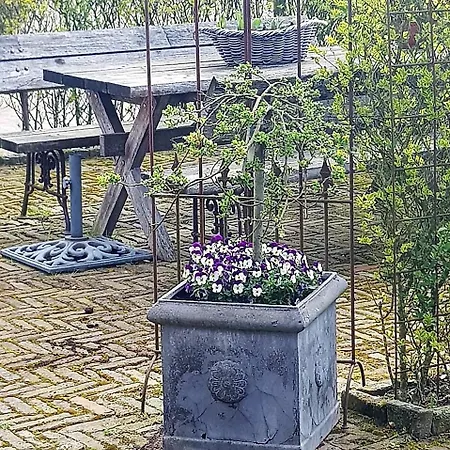 Op Mini-camping De Peelweide * Grashoek